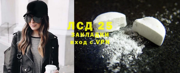 прущие грибы Балабаново