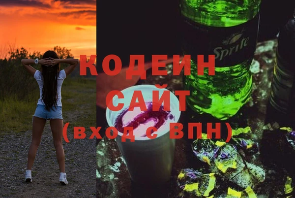 прущие грибы Балабаново