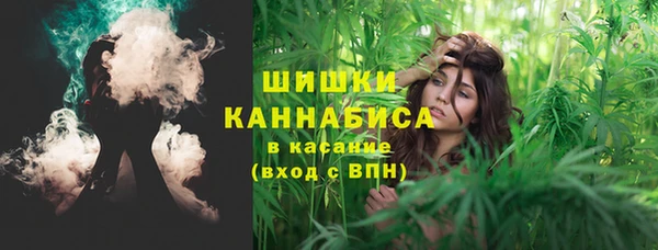 прущие грибы Балабаново