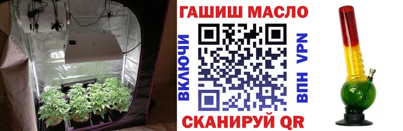 дарк нет формула  Богданович  ТГК Wax  omg рабочий сайт 