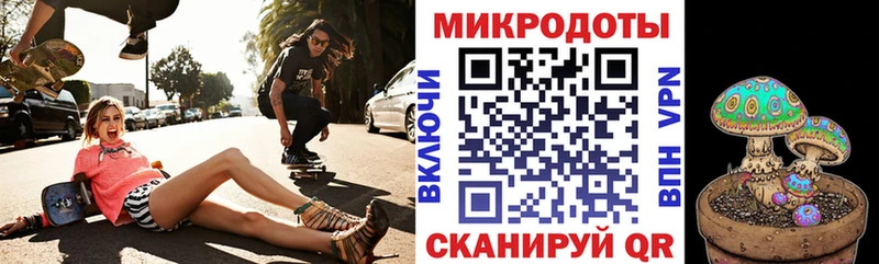 Псилоцибиновые грибы прущие грибы  Богданович 